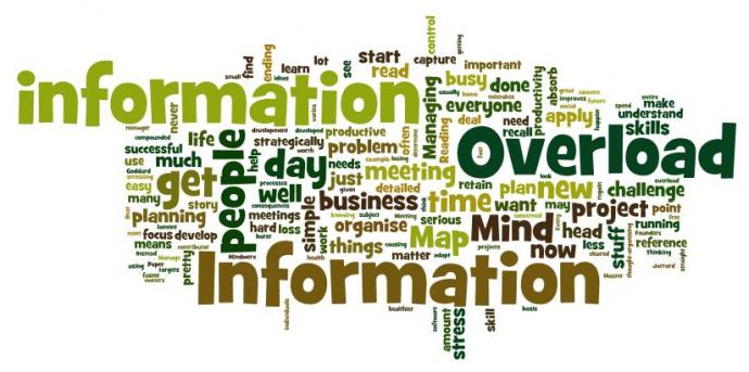 Overcoming Information Overload Adapted